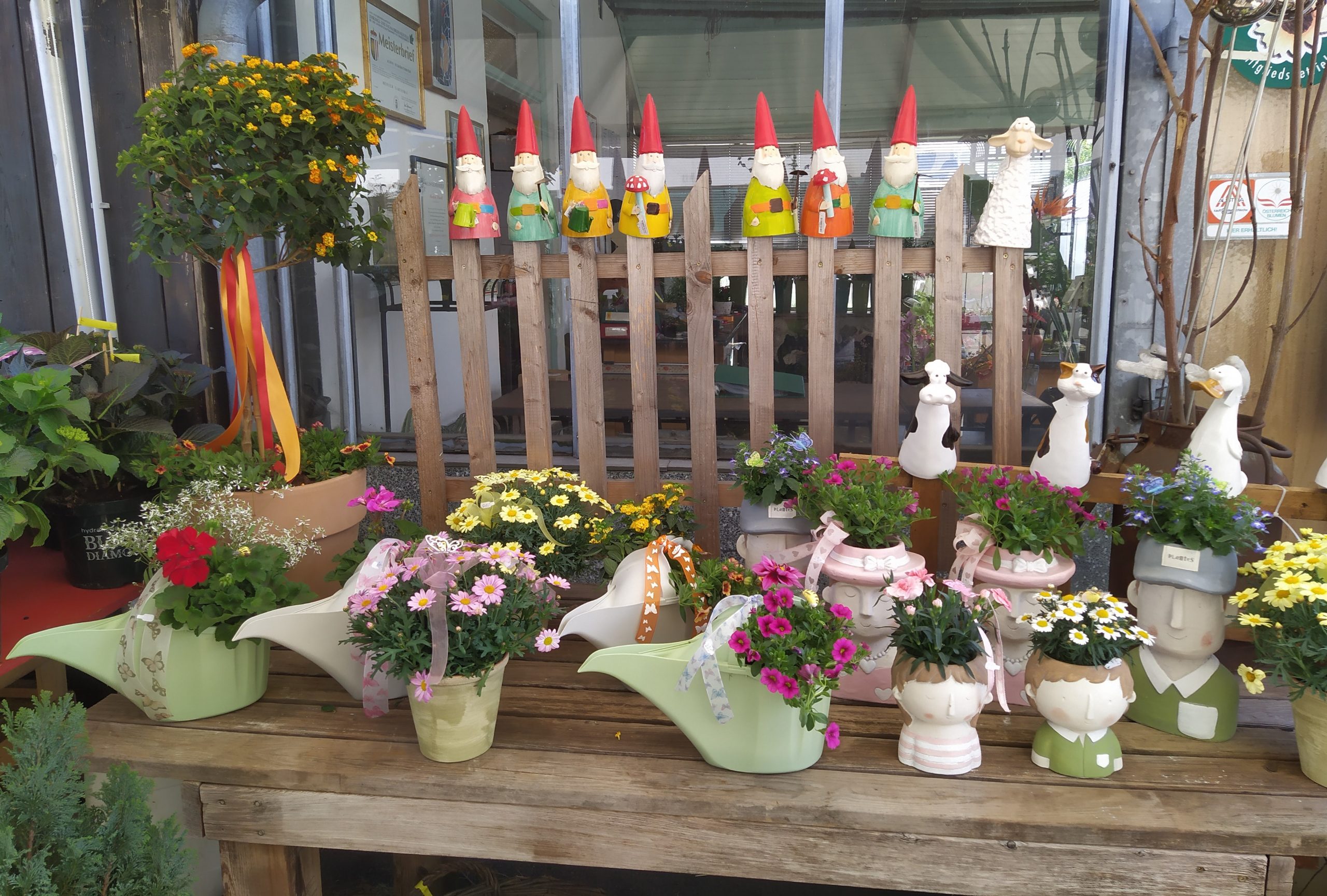 Sommer in der Gärtnerei Wandl