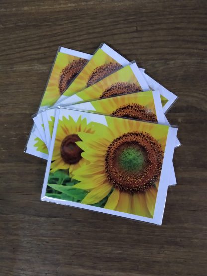 Grußkarte Sonnenblume