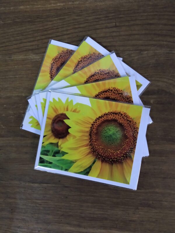 Grußkarte Sonnenblume